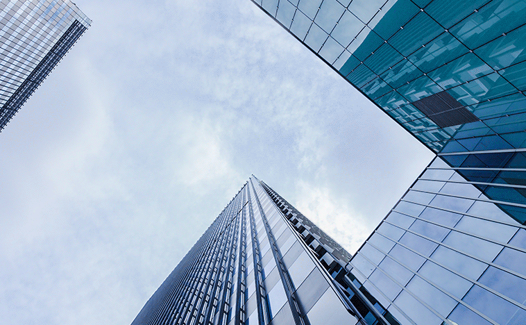 沈阳示剑网络科技小程序定制与企业网站建设方案对比：如何选择适配的数字化服务